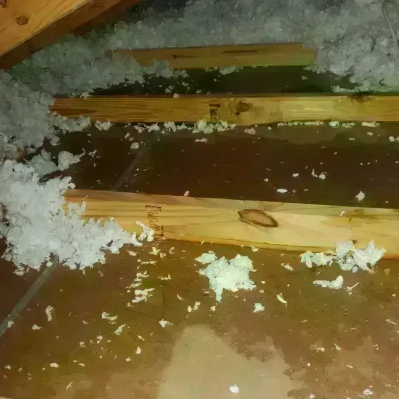 Attic Water Damage in Saint Clair Shores, MI